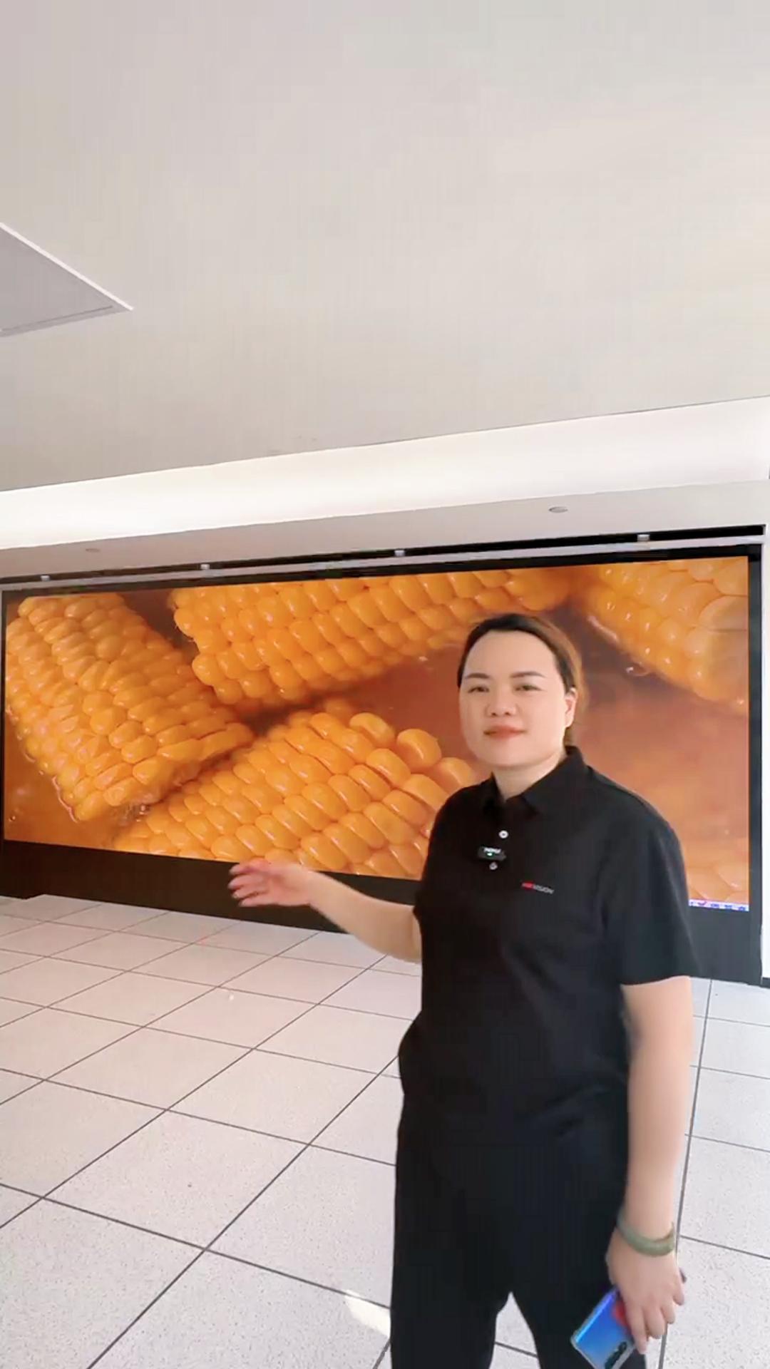 梅州某單位兩塊顯示屏點亮效果