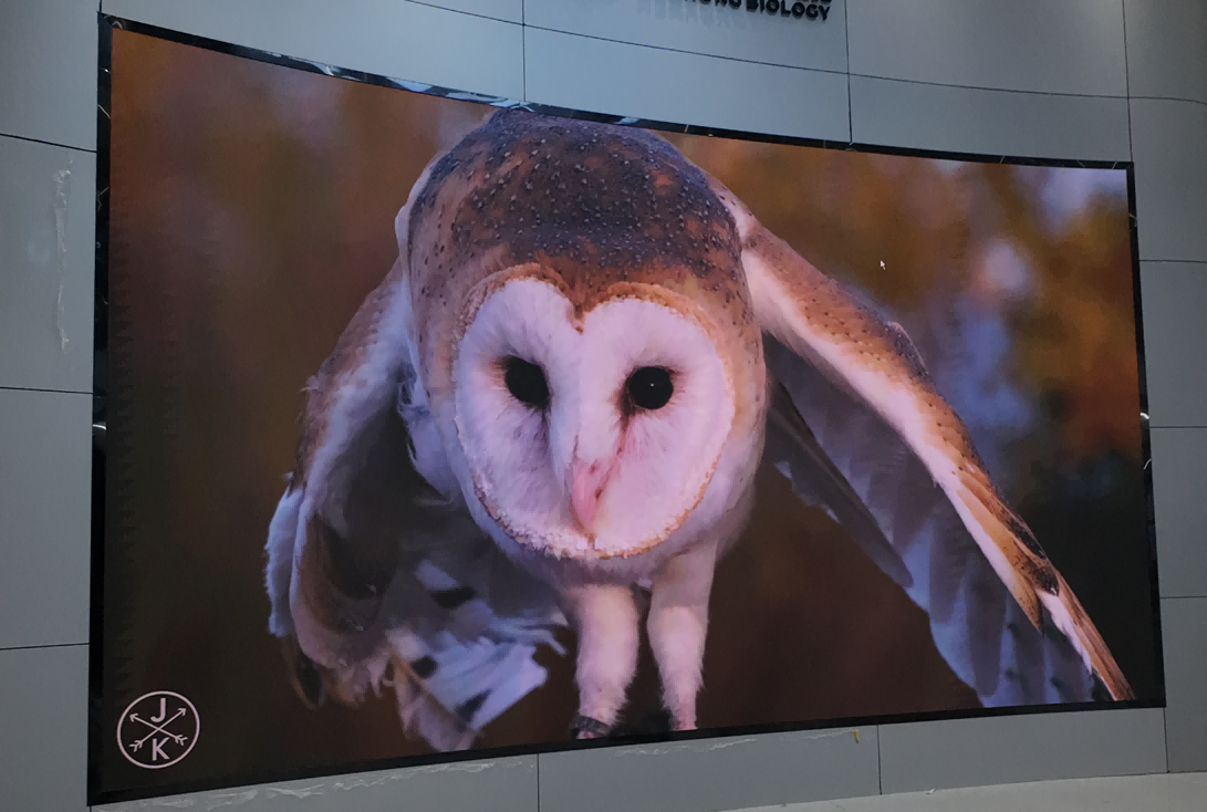 蕉嶺某工業(yè)園P1.86LED顯示屏